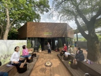 서울대공원에 산림치유센터 조성…족욕장·편백풀장 이용