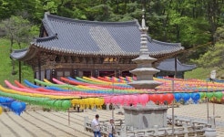 ‘의병장’ 사명대사 출가했던 절, 직지사…사시사철 아름다운 3만평 큰절  [정용식의 내마음대로 사찰여행 비경 100선]