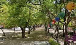 ‘의병장’ 사명대사 출가했던 절, 직지사…사시사철 아름다운 3만평 큰절  [정용식의 내마음대로 사찰여행 비경 100선]