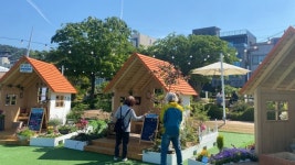 완도 해변공원서 ‘전남도 정원 페스티벌’