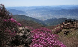 연간 70만명 걷던 지리산둘레길 발길이 끊겼다 왜