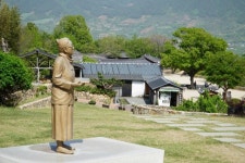 6월은 여행가는달…명이나물 쌈 먹고, 대전 빵지순례 하며 유유자적