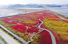 테마 여행지로 숨은 관광지로...별미 한 숟가락, 가벼운 발걸음