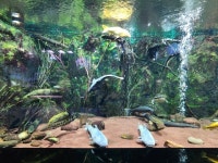 ‘여행 백화점’ 단양서 온달과 평강을 다시 그리다[함영훈의 멋·맛·쉼]