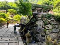 청량한 청량산과 함께 봉화 7,8월의 크리스마스를..[함영훈의 멋·맛·쉼]