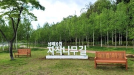 주광덕 남양주시장 “수도권 관광 1번지로 도약할 수 있도록 하겠다.”
