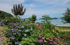 전라남도 예쁜정원 콘테스트서 여수시 ‘최우수상’