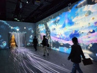 휴가철 순천만국가정원 ‘시크릿 어드벤처’ 4D 체험 어때?