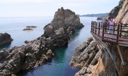 삼척-영월-태백-정선 최고 여행지,강원랜드가 동행[함영훈의 멋·맛·쉼]