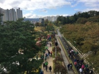 포항시, 송도 솔밭 도시 숲·포항 철길 숲 산림청의 아름다운 도시 숲 50선 선정