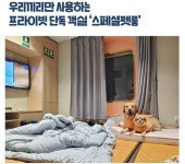 “댕댕이 위한 황토방까지”…100만원대 애견 풀빌라 아시나요?