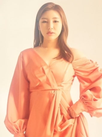 가수 송가인, 법적 대응 예고 초상권 무단 사용에 관용 없이 대응 (95자)