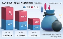 [단독] 올해 주식 신용융자 반대매매 1兆 육박…TOP10은 2차전지·반도체