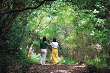 송악산 갈바람·새별오름 핑크뮬리...제주 가을, 바다와 밀당 중