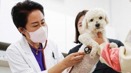 광주응급 동물병원 10곳 추석연휴에도 운영