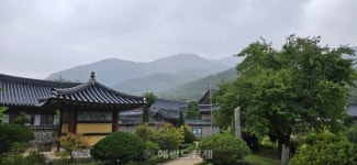 호랑이 품 안에 있는 사찰…‘화랑정신 발원지’ 청도 운문사 [정용식의 내 마음대로 사찰여행 비경 100선]