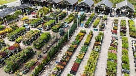 순천만가든마켓 가을 나무시장 개장...구근류 예약 중