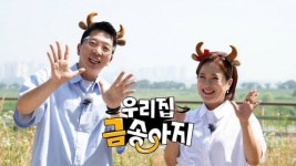 KBS ‘우리집 금송아지’ 시청률이 금송아지…추석 연휴 전북 완주군 용진읍편 4.9% 기록