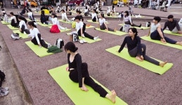 요가교실·반려동물 유전자 검사...각양각색 즐길거리 가득 [웰니스서울 2024]