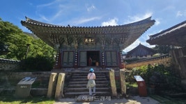 서산대사(호국)·초의선사(茶) 얼 깃든 곳…땅끝 해남 대흥사 [정용식의 내 마음대로 사찰여행 비경 100선]