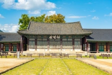 [11월에 가볼만한 곳] 붉은 병정 사열, 나주 산림연구원