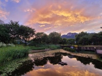 서울시, ‘서울정원 아재짤’ 공모전 수상자 155명 선정