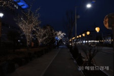 상주 도심, 곶감 조명으로 물들다…내년 1월 말까지 불 밝힌다