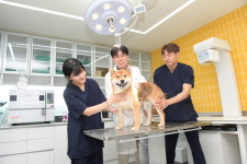 대구보건대 반려동물보건관리학과, 동물보건사 양성기관 평가 완전인증 획득