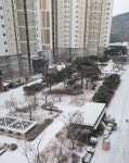 대구경북지역 눈으로 곳곳 교통통제