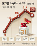 SK ‘AI 밸런싱’ 속도…소속회사 200개 밑으로 줄 듯