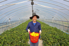 베트남에 간 국산 참외…스마트팜 협력도 진전