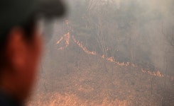 삼성·SK·두나무·현대차·포스코…국내 주요 기업들 산불 피해 지원 팔 걷어