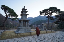 ‘호남 불교의 중심’ 구례 화엄사 역사문화 학술제 열린다