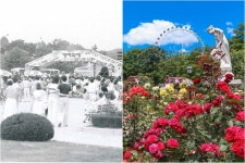 가정의달 5월 에버랜드 장미축제 비포&애프터