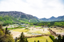 [포토뉴스]초록의 봄과 겨울의 공존