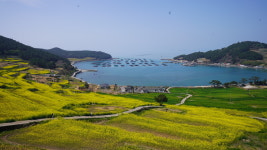 5월 황금연휴엔 완도 청산도 ‘구들장논’ 탐방 어떠세요?