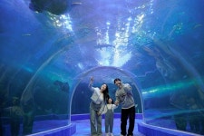 한화 아쿠아플라넷-여수, 2025가정의 달 경품 풍성해