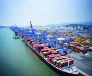 ‘해운동맹 개편’ 속 부산항도 지각변동…하팍·머스크 2부두行 이달 중 마무리 [비즈360]