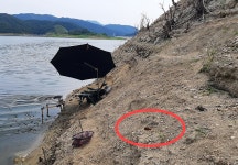 경북 영주댐 인근에서 포탄 2발 발견…군부대 수거