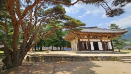 최초의 구산선문, 생명나눔의 시작 남원 실상사 [정용식의 사찰 기행]