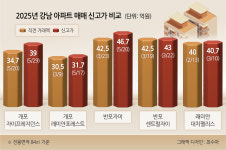 [르포]“곧 대치·반포 따라잡을거에요”…개포 국평도 40억 ‘육박’[부동산360]