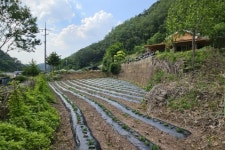 “쓰레기더미였는데”…이재명 고향마을, 이젠 하루 300명 ‘북적’