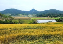 ‘축제의 호롱불’ 길게 흥할 장흥, 쇄신·보양·노벨 여행[함영훈의 멋·맛·쉼]
