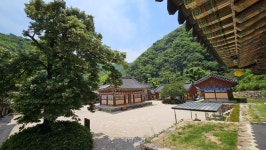 “저것이 내가 살린 물고기” 원효·혜공의 전설 깃든, 포항 오어사 [정용식의 사찰 기행]