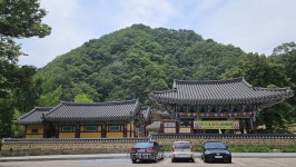 “저것이 내가 살린 물고기” 원효·혜공의 전설 깃든, 포항 오어사 [정용식의 사찰 기행]