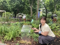 “아직도 안가봤어요?” 315만명이 픽했다…서울의 제주 곶자왈 숲길 [세상&]