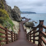 포항 호미 반도, 유네스코 생물권보전지역 지정 ‘본격 추진’… 본신청서 9월 제출