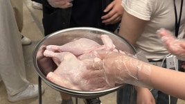 체감온도 41도에도 내부는 28도…‘상생통닭’ 농장은 전쟁 중 [르포]