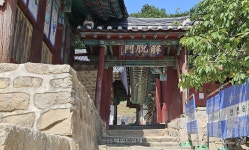 외국인도 꼭 가봐야 할 사찰…서산 개심사·마애삼존불·보원사지 [정용식의 사찰 기행]