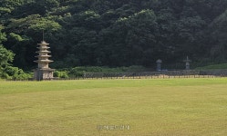 외국인도 꼭 가봐야 할 사찰…서산 개심사·마애삼존불·보원사지 [정용식의 사찰 기행]